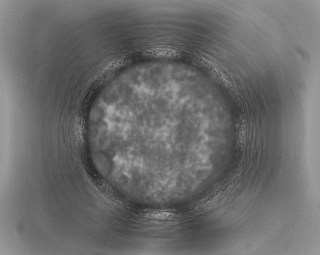 X0000115740643200912101315