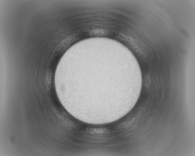 X0000115740645200912101315