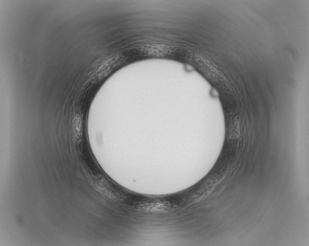 X0000115740646200912101315