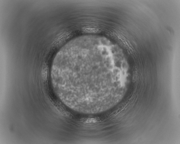 X0000115740647200912101315