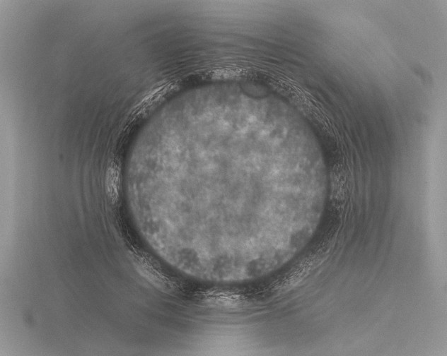 X0000115740648200912101315