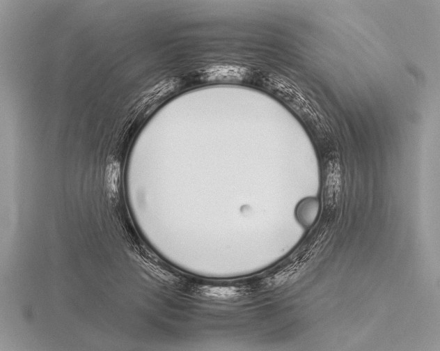 X0000115740649200912101315