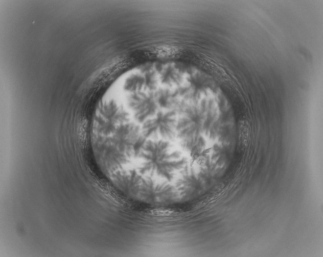 X0000115740650200912101315