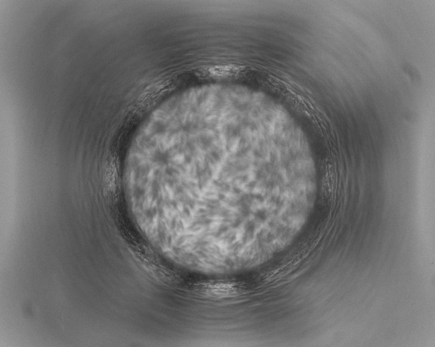 X0000115740651200912101315