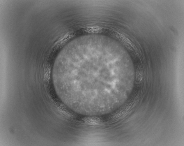 X0000115740652200912101315