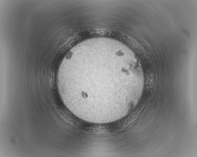 X0000115740656200912101315