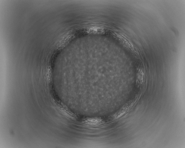 X0000115740659200912101316