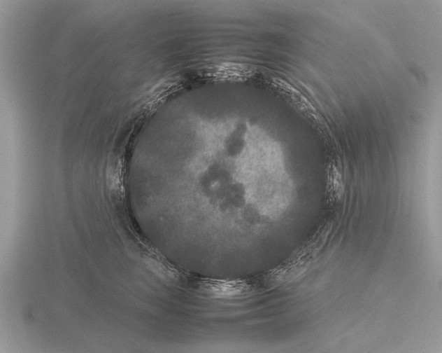 X0000115740663200912101316