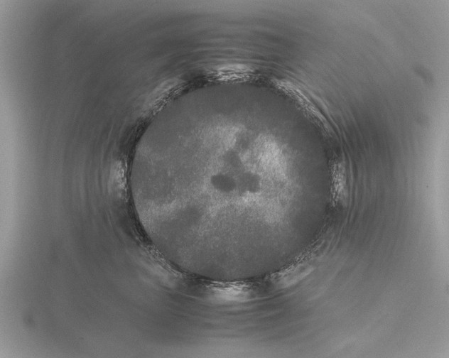 X0000115740667200912101316