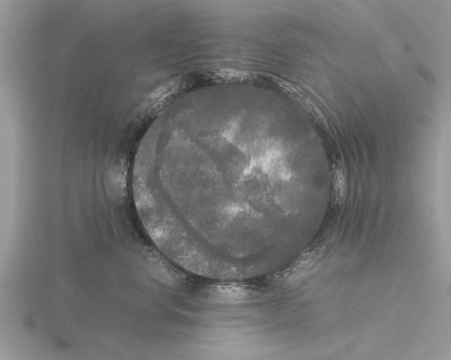 X0000115740668200912101316