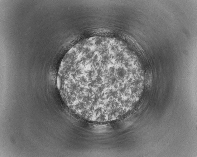 X0000115740669200912101316