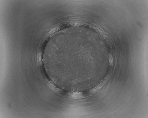 X0000115740670200912101316