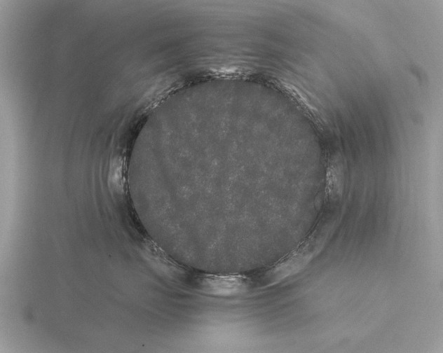 X0000115740671200912101316