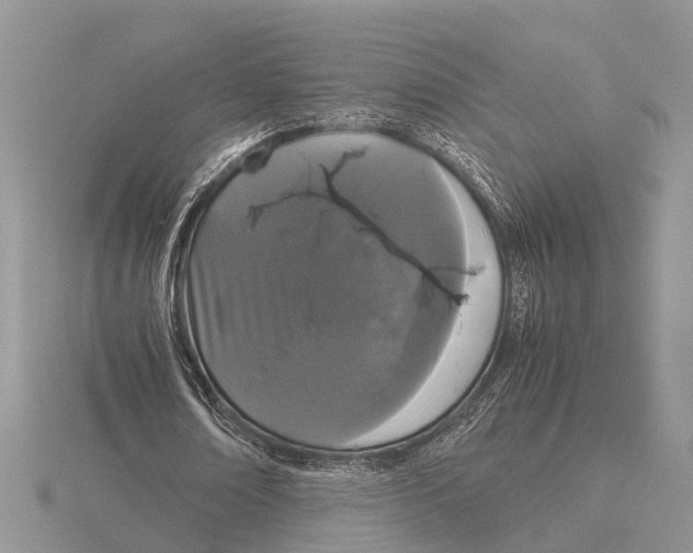 X0000115740674200912101315