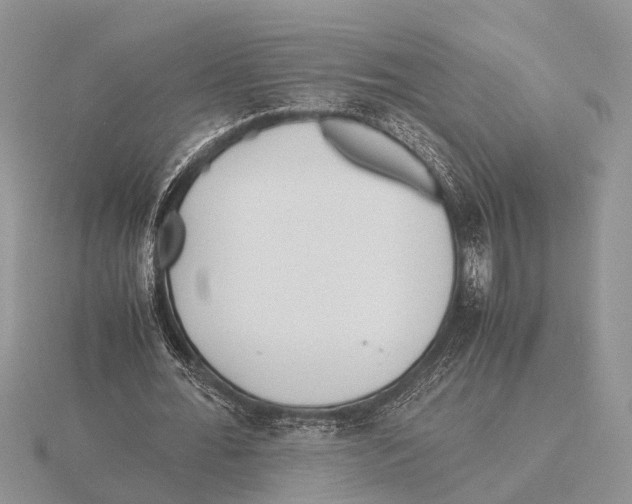 X0000115740676200912101315