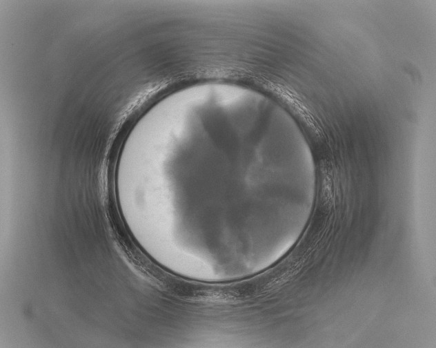 X0000115740678200912101315