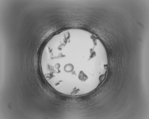 X0000115740679200912101315