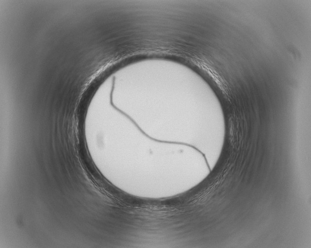 X0000115740684200912101315