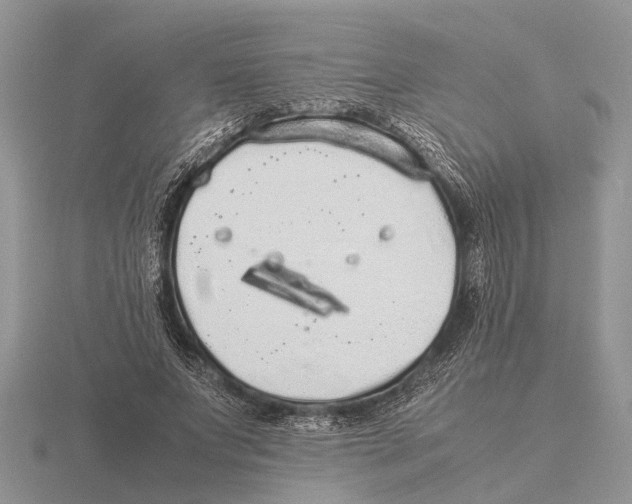 X0000115740687200912101315