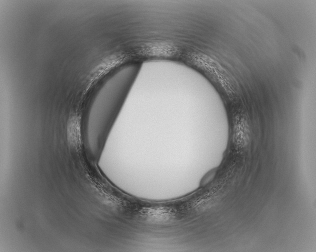 X0000115740688200912101315