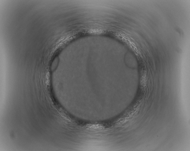 X0000115740689200912101315