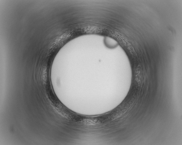 X0000115740690200912101315