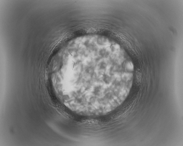 X0000115740691200912101315