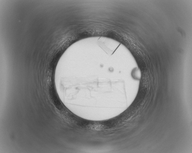 X0000115740695200912101315