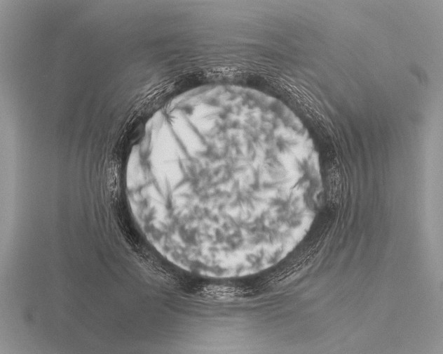 X0000115740699200912101315