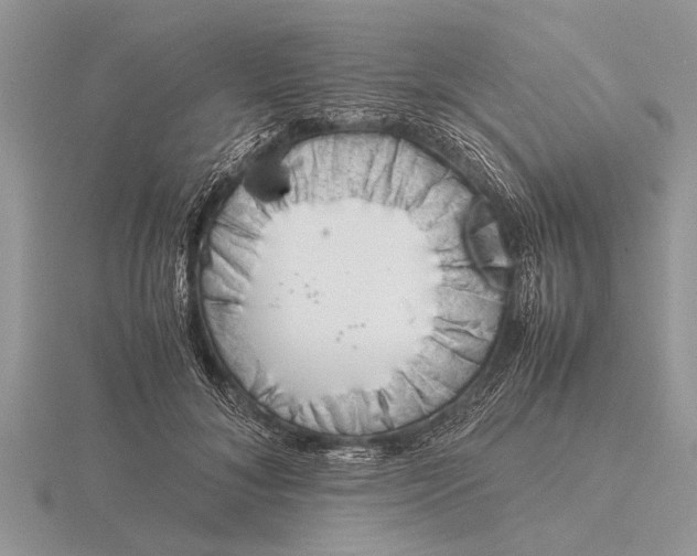 X0000115740700200912101315