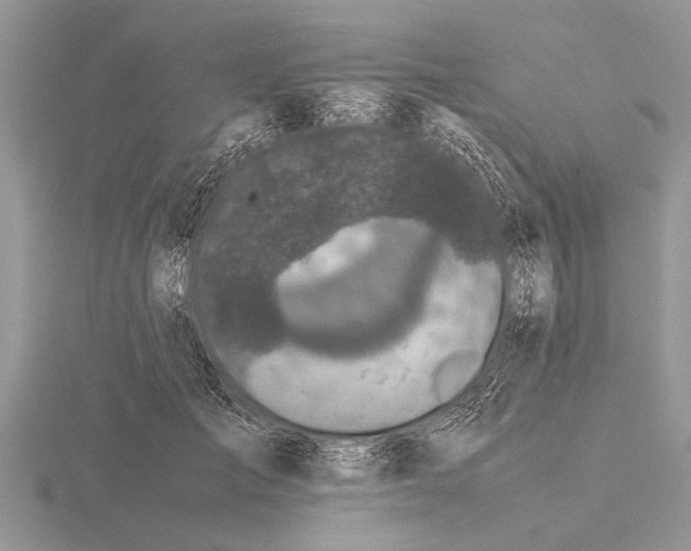 X0000115740701200912101315