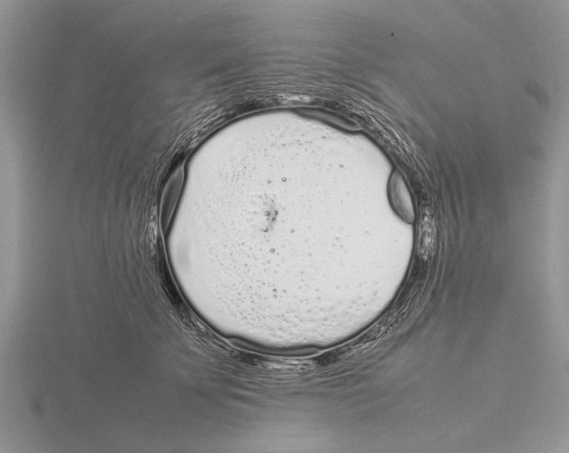 X0000115740707200912101315