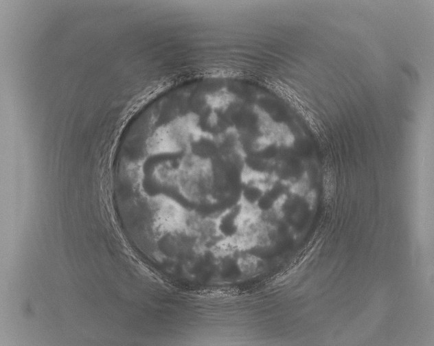 X0000115740721200912101314