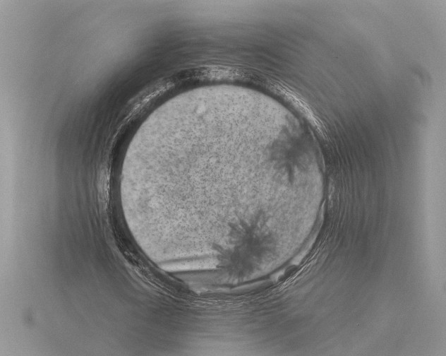 X0000115740722200912101314