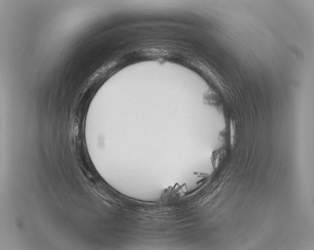 X0000115740723200912101314