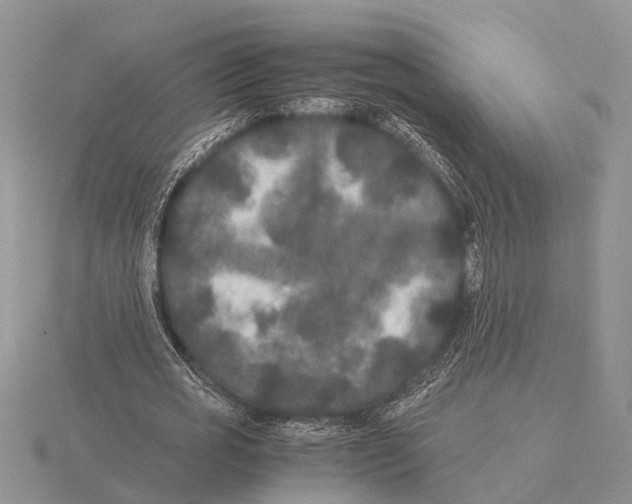 X0000115740725200912101314