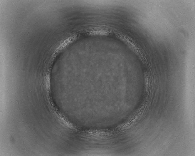 X0000115740729200912101314