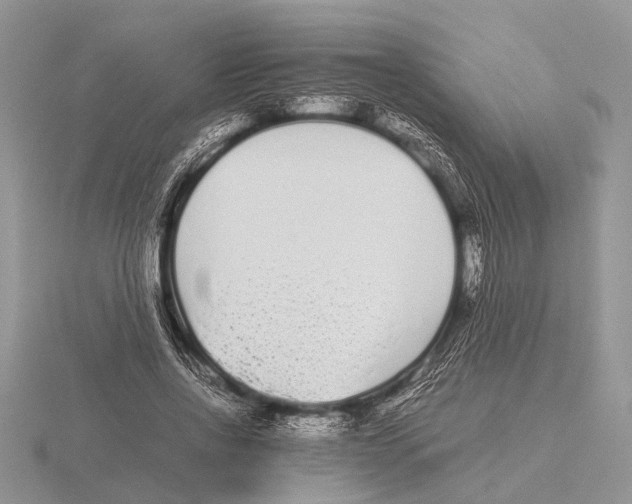 X0000115740734200912101314