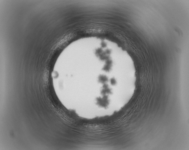 X0000115740735200912101314