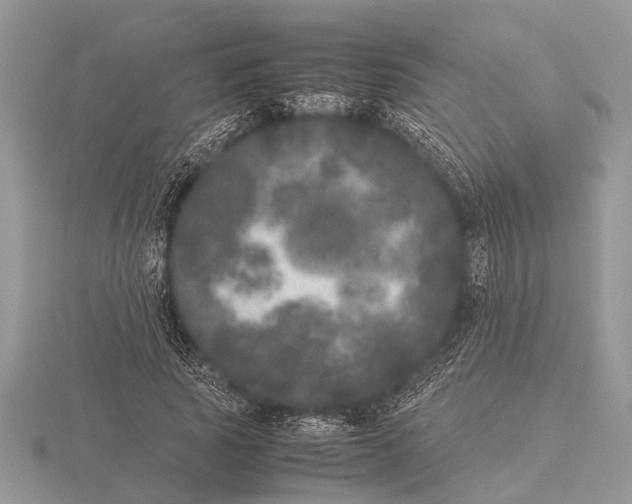 X0000115740737200912101314