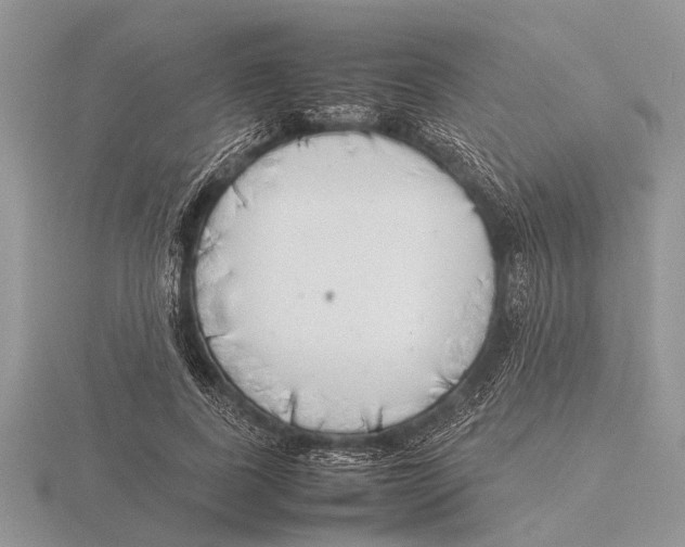 X0000115740739200912101314