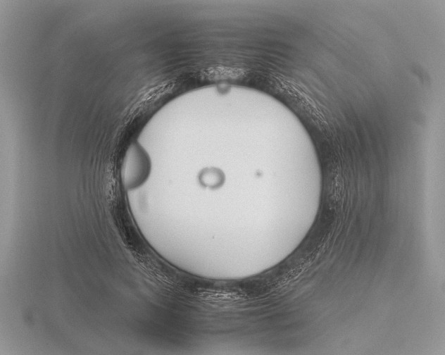 X0000115740743200912101314