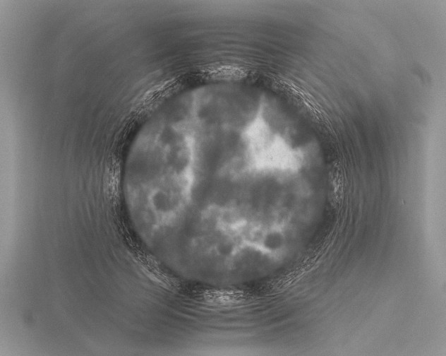 X0000115740745200912101314