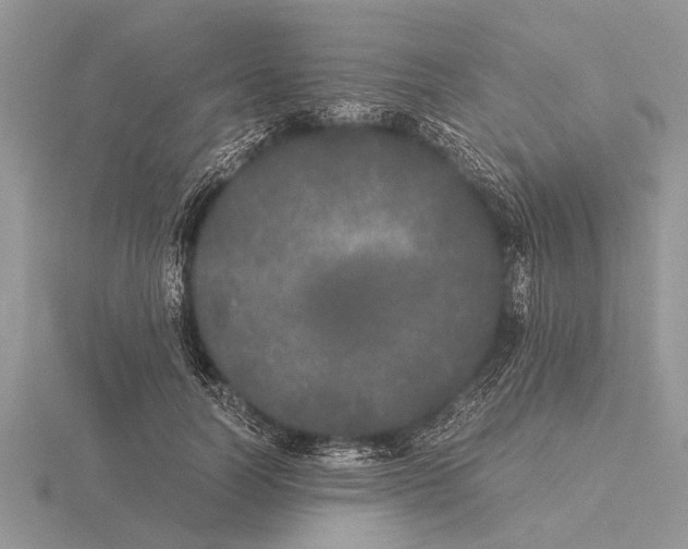 X0000115740746200912101314