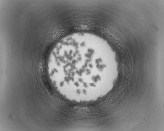 X0000115740747200912101314