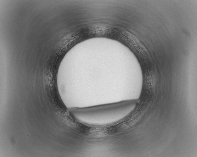 X0000115740750200912101314