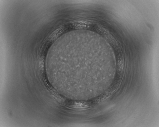 X0000115740753200912101314