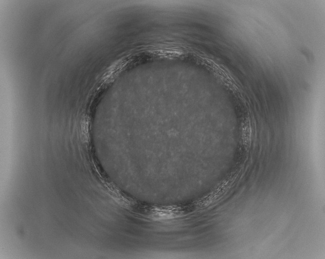 X0000115740757200912101314