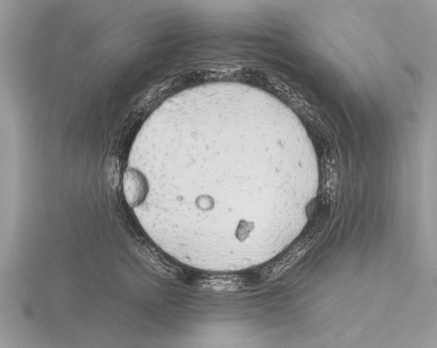 X0000115740758200912101314