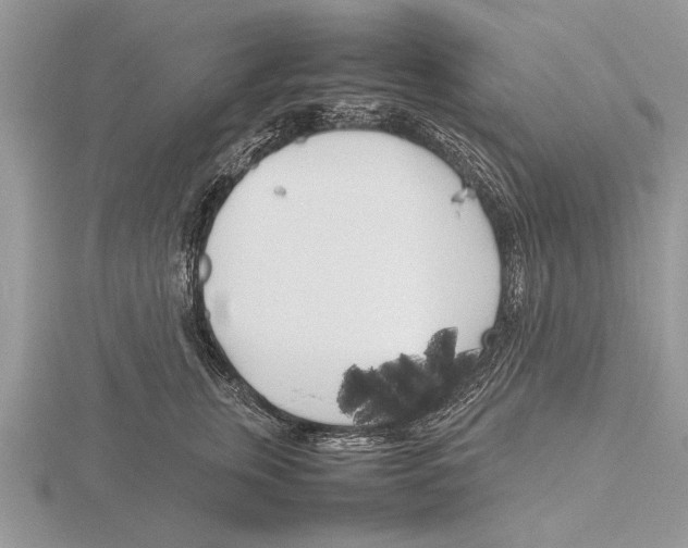 X0000115740759200912101314